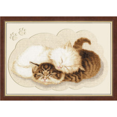 НЛ-017 Котята