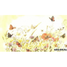 PN-0007967 Бабочки на лугу