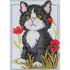 С057 Чёрный котёнок